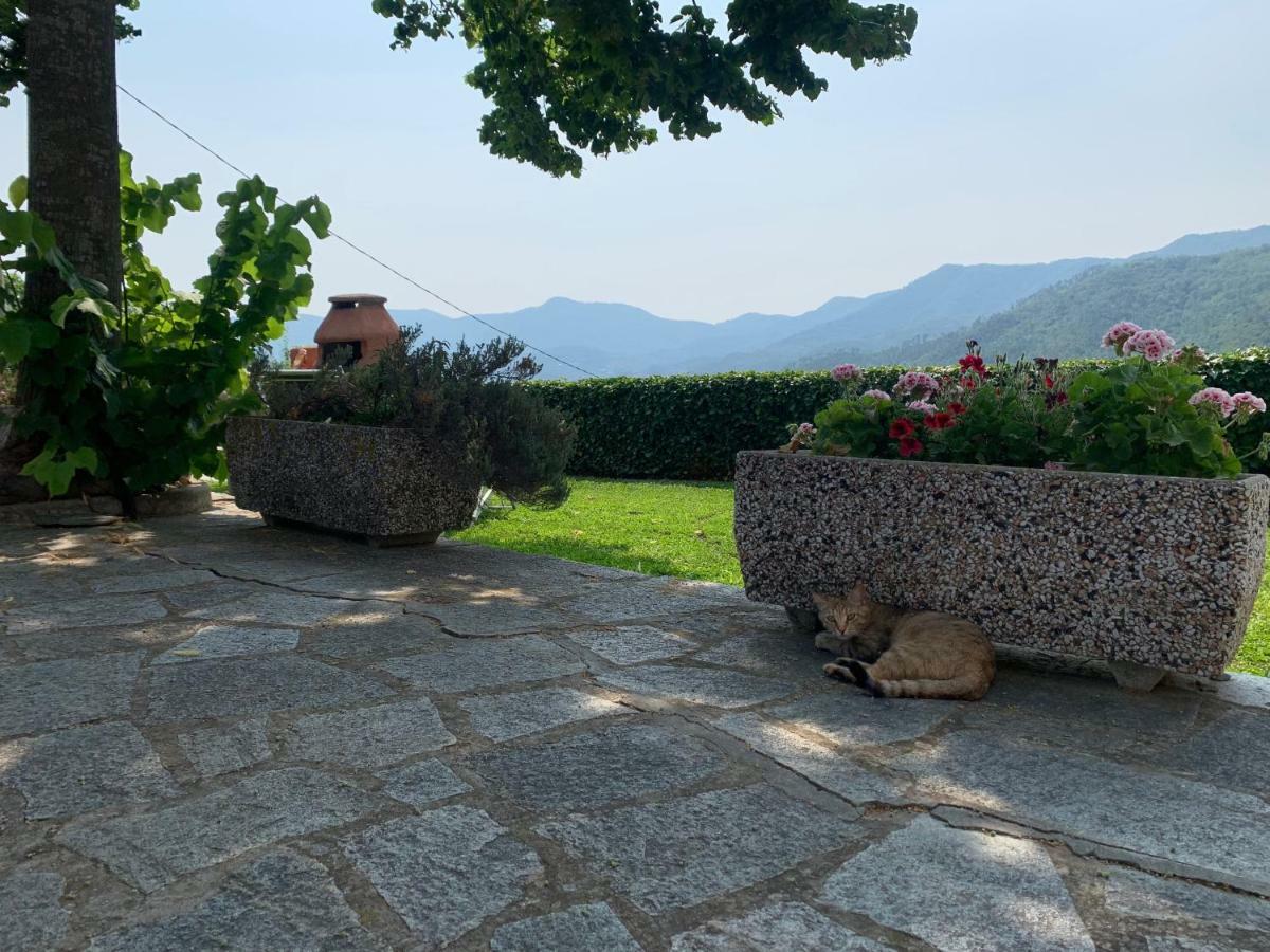 Agriturismo Gli Ulivi การ์เลนดา ภายนอก รูปภาพ